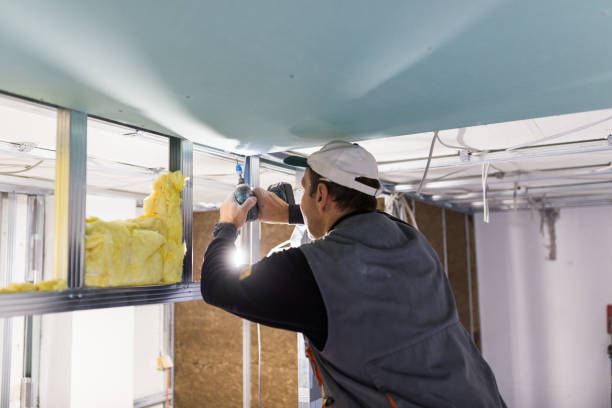 Best Residential Insulation in Goleta, CA