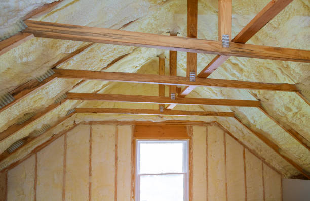 Best Cellulose Insulation in Goleta, CA