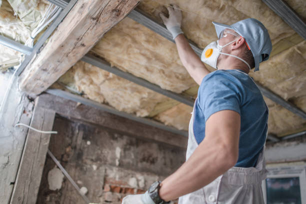 Best DIY Insulation Kits and Guidance in Goleta, CA