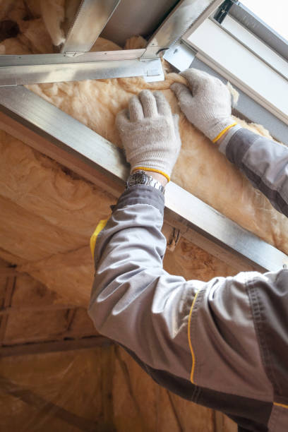 Best Blown-in Insulation in Goleta, CA